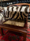 Gilded Medallion Horseshoe Armchairs with Custom Zebra Hide Cushions